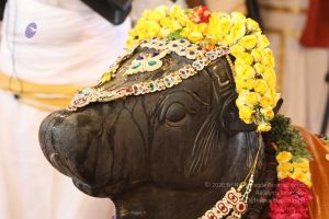 20180414 Photo 1697 1i0HIyr7SOZVteE6m3qyajJBsQuhKd5yi.jpg