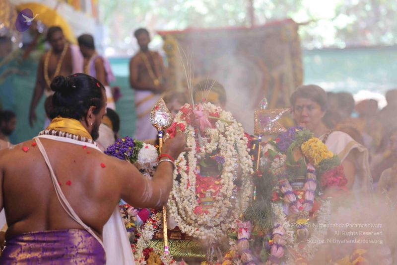 File:20180414 Photo 1716 1dM1rEF9uTe h3Gpz392LEjITbV7d-6wY.JPG