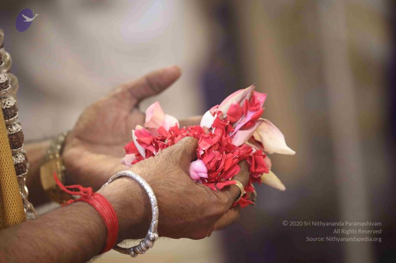 File:20180414 Photo 1723 1Fb2ZTpVXxl5O6ndn2DmiJ2zZ21x1A4km.JPG