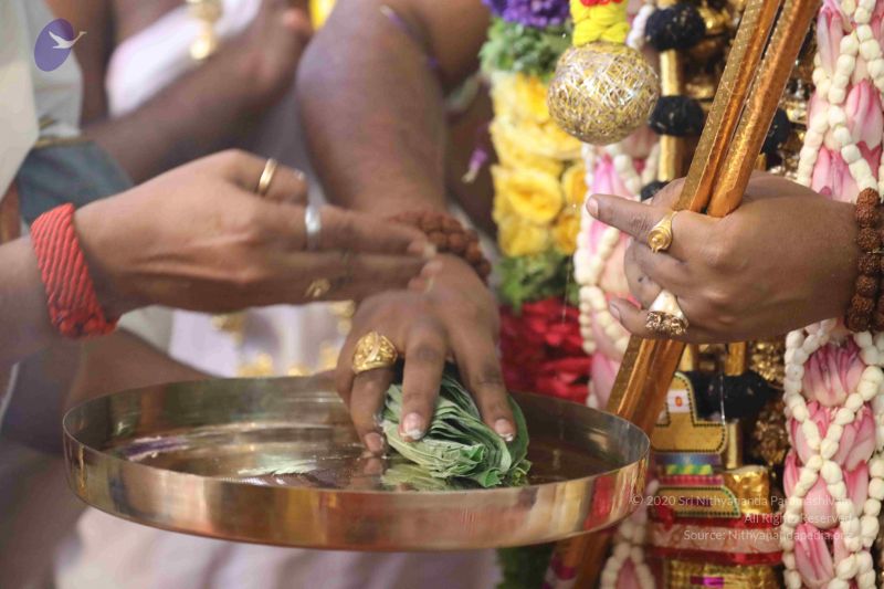 File:20180414 Photo 1730 1Hy0ZHc4F0-YvvzUkMWFuC8nmnPquta1y.JPG