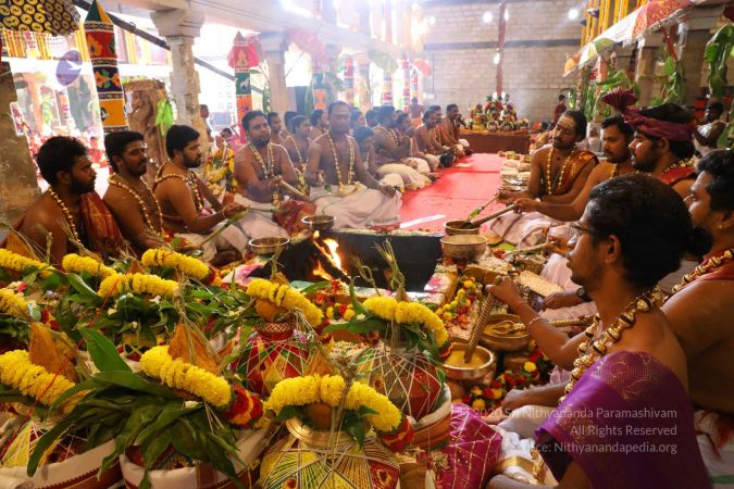 20180414 Photo 1735 16-9T0K63rjCmktfWLW18p6m8MJoW70S9.jpg