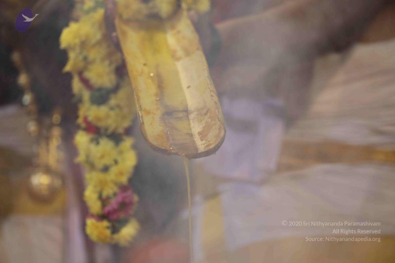 File:20180414 Photo 1744 1VaV8NCeEUvZd8I7-yUVV5P9MqWoG3-f-.JPG