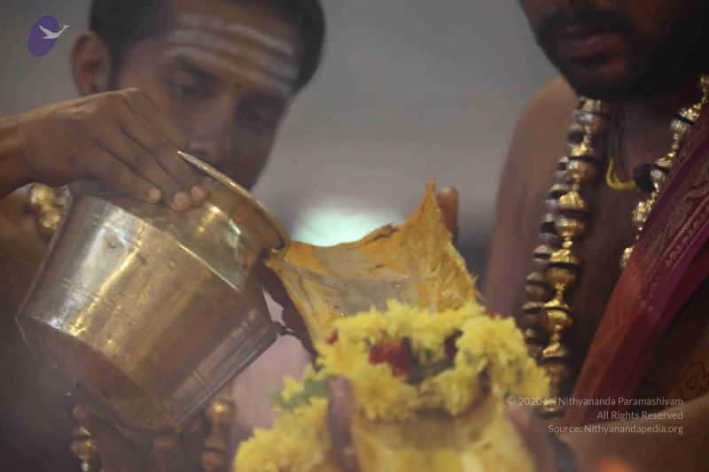 File:20180414 Photo 1745 1NGOElxxpgcSDcEuG8zTevteL4jAOy6YV.JPG