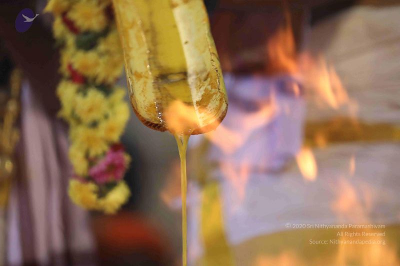 File:20180414 Photo 1747 1PAoI-jOfzm-0D3HDznacFtriLorQdwgW.JPG