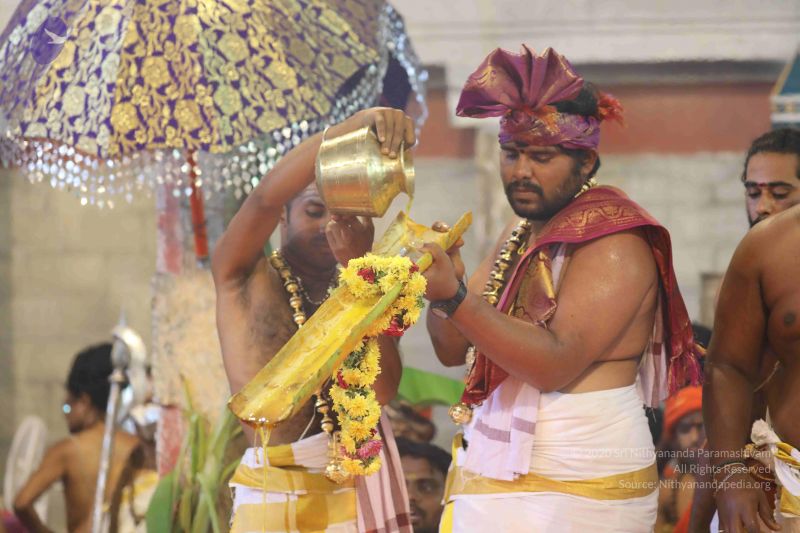 File:20180414 Photo 1758 1YApTaEQRG-2YpLWhk6opFcq8PiCcjpC4.JPG