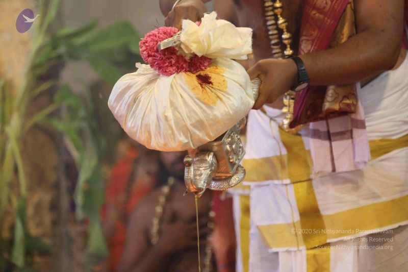 File:20180414 Photo 1766 1tgSfuFECUjgSRC3bTQVcPa2CXaAVBIqt.JPG