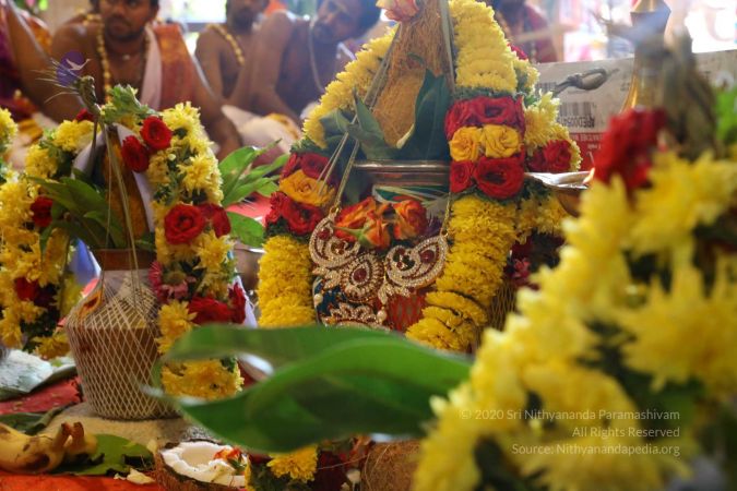 20180414 Photo 1767 1wi2d4WDCJF5MoUXeGX-OLNG1WH316iUz.jpg