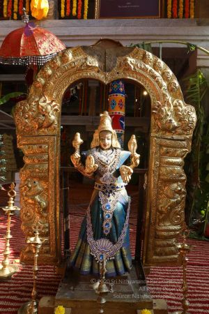 20180414 Photo 1782 1yeXABiFZtZ9haUfhUtne8k7MhfBNUmTX.jpg