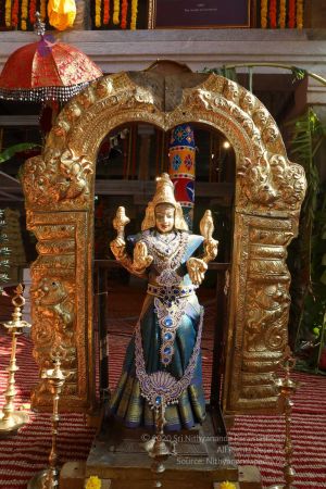 20180414 Photo 1783 1LtQvubop KUfJ3y23uMMEcL4OIpGsie8.jpg