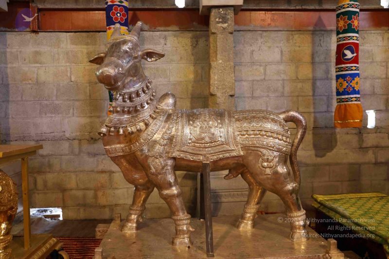 File:20180414 Photo 1795 1hbCjdYKbAHFjEXEfDmEmj3h4VztCvqRA.JPG