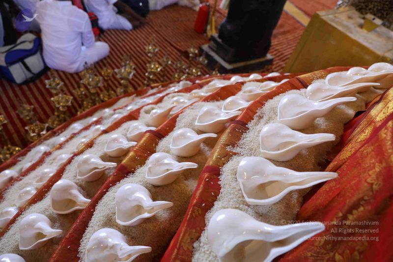 File:20180414 Photo 1806 1cpX2 sF7EjUinl-l-uiXHHpRsdIRJ4nR.JPG