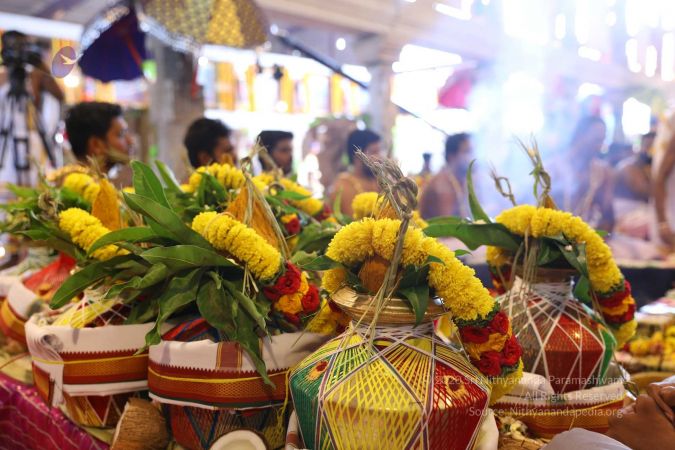 20180414 Photo 1834 1lLL8hd3jzLHQD9dYz3HZJtCq5QfGX18m.jpg