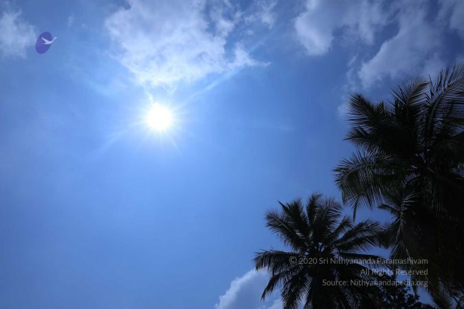 20180414 Photo 1849 1w3JE3Kvpb2TmHRFPHr9FIsZpwi4YhOLk.jpg