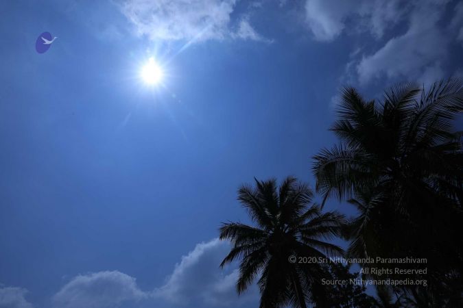 20180414 Photo 1850 1C697FeyJjD9-UcWcvUFWfdXg9xiS5SeM.jpg