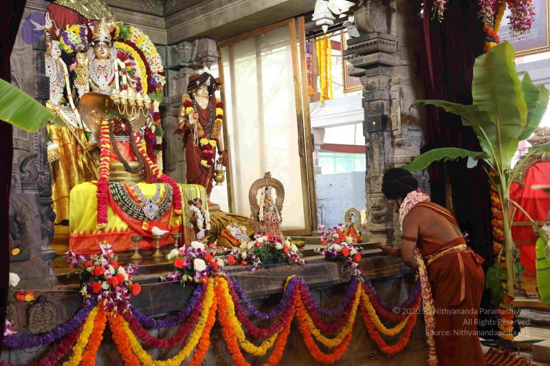 File:20180414 Photo 1854 16ReJdSa7z918lNjNNaWXVv4K-AjCqBA9.JPG