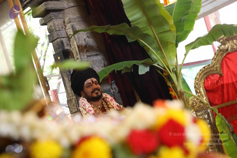 File:20180414 Photo 1864 1H7Hx3lWJIEG NoLbBSxesyMCGWPdFfTo.JPG