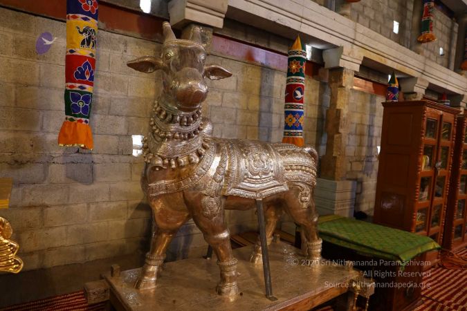 20180414 Photo 1888 103xeI0DIbMCRDouL3 FNW1WDsr5ESlLh.jpg