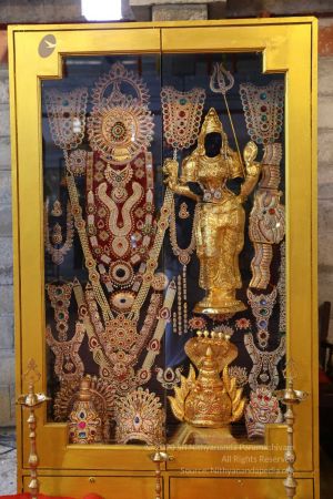 20180414 Photo 1892 1pW8wJjuPiiP55W 4g7Y0HUGSE vnpaHe.jpg