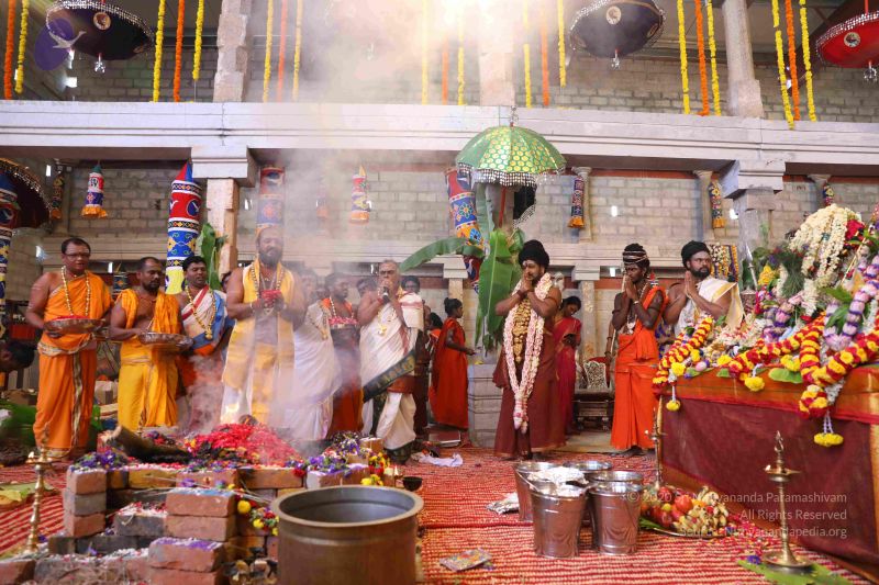 File:20180414 Photo 1908 1yyXtsgR8iPPlJW1rarYrQLPV3CfawaCZ.JPG