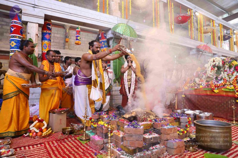 File:20180414 Photo 1928 1vdjEgoMwhi0TtgbfEP4J37EID00ydaLj.JPG