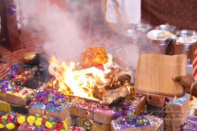 File:20180414 Photo 1960 1Zk1G65ZGTl9WTyY50HffJbhzhQf2jCAP.JPG