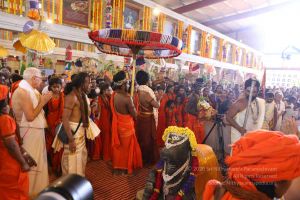 20180414 Photo 1981 1q6B30LgLgpcL9PZXgh x9PvIem6rg -S.jpg