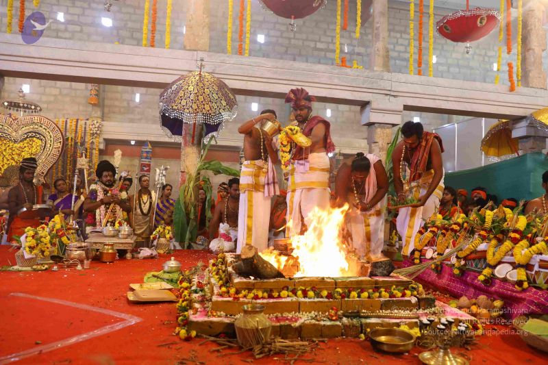 File:20180414 Photo 2044 1Se1RTrpk-sCpAIXDzxUbabS2c-wq ajR.JPG