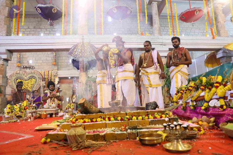 File:20180414 Photo 2056 1lqI45ir1 tgsxBqrhxjLwuf74KJWOJhR.JPG