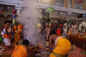 20180414 Photo 2078 1zzYrQP6QLI eaxgV6eICxeryXe1bBAlj.jpg