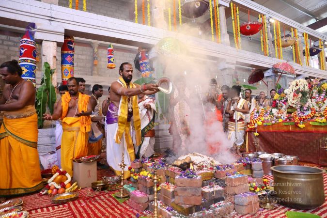 20180414 Photo 2107 1YKfq9Rqlv52Cl5WDgWP6Jq51m1zBy-85.jpg