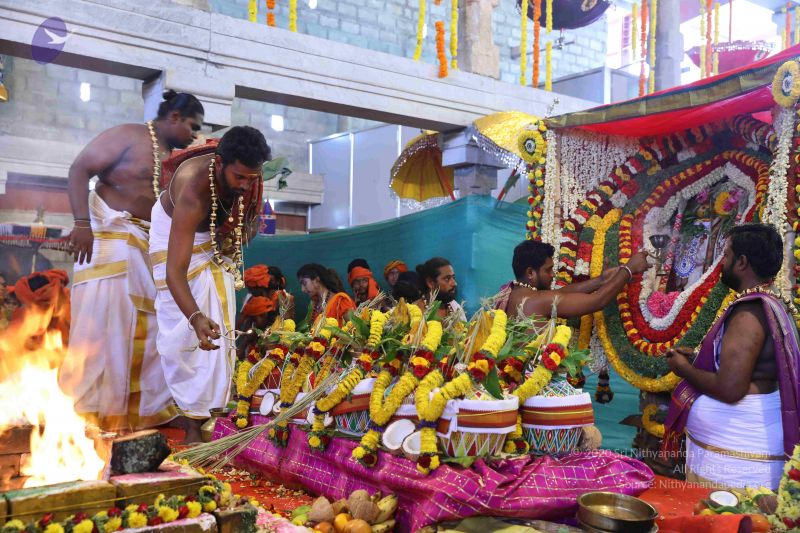 File:20180414 Photo 2132 1-NPvmubn6rxkqfcBIiANwYMFP1qvDepC.JPG