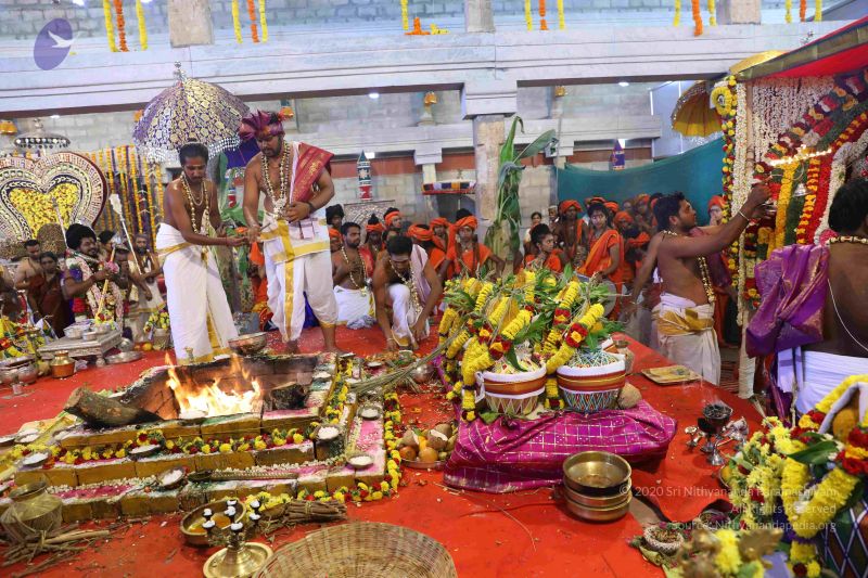 File:20180414 Photo 2174 1K LbjTnBC4YkDWUId3NXsxcCATzw01do.JPG