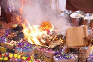 20180414 Photo 2174 1KigquHDbDIbv48qOjdnl54wpf9ZdWrqo.jpg