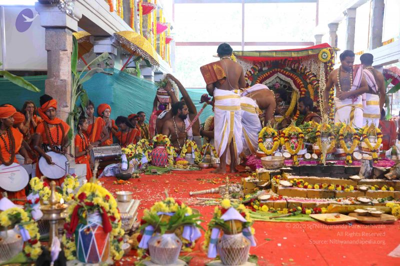 File:20180414 Photo 2254 1F7NNrvi4UguNdve-5A08BAvIK-ZEMwiN.JPG