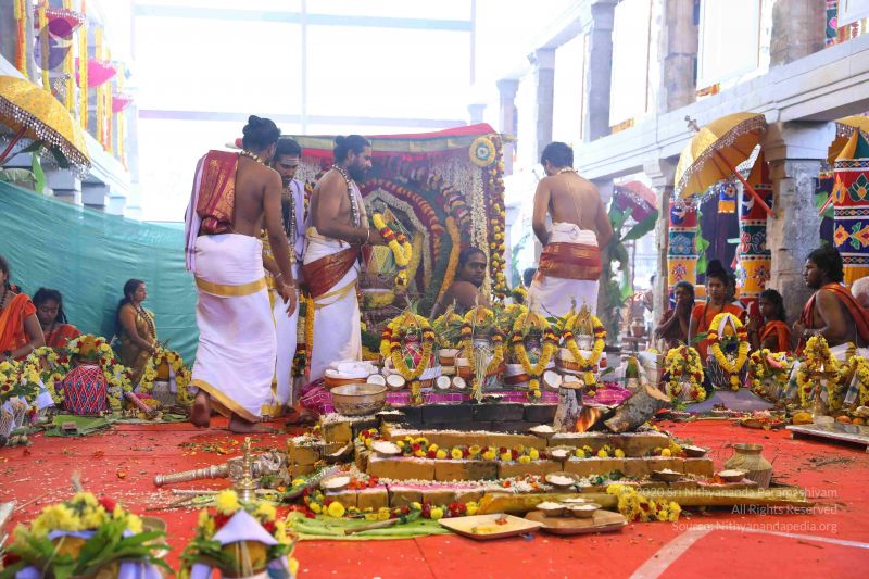 File:20180414 Photo 2262 1~ze5IxNUPpAT5zEfX1j- mwHG 1KSL1.JPG