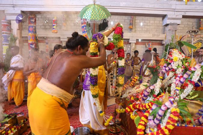 20180414 Photo 2278 1rMsF4fnPKg-lvvLT7XwzKZ2y4Y-FXIHt.jpg