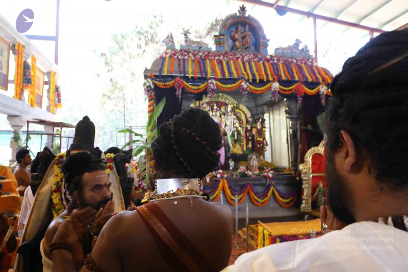 File:20180414 Photo 2324 1qJqHt3985OE9CGMv5MEpjESUdpgHVqo5.JPG