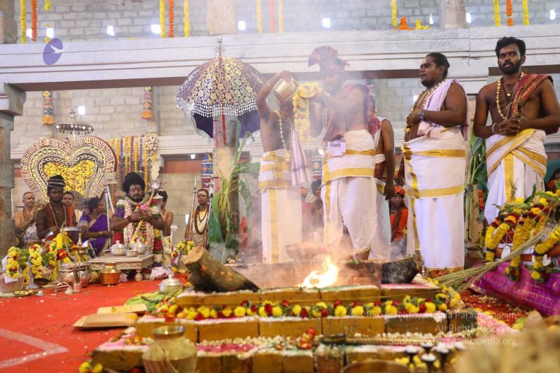 File:20180414 Photo 2348 1ZvAwANALByeBi5L5jGpvyGxABsnsZpeK.jpg