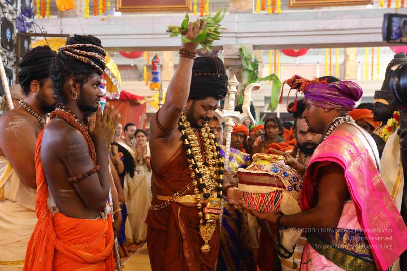 File:20180414 Photo 2348 1jLzkFQdVKkQACaOHiiaAcimTvAa4z5Ta.JPG