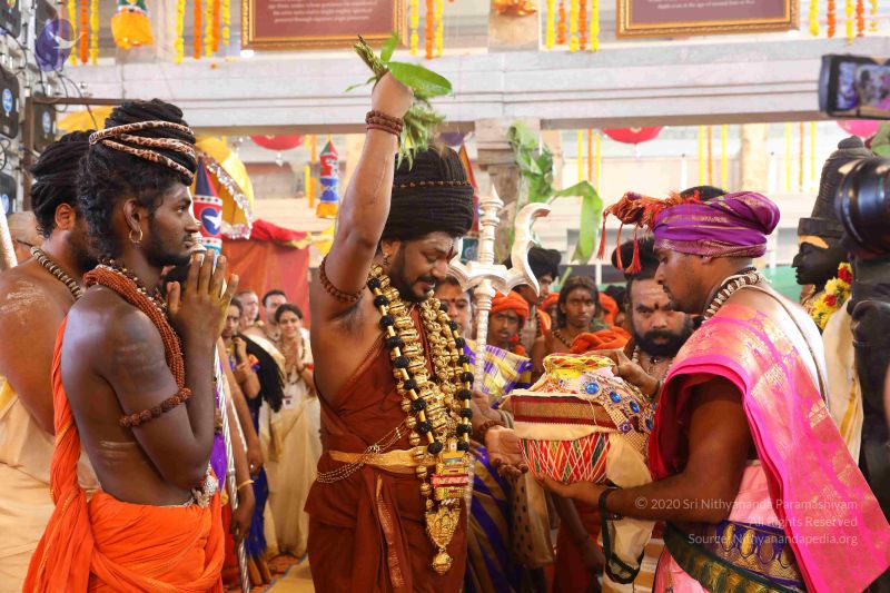 File:20180414 Photo 2349 1LI6a8f61Gd8oMIXspGQolidtD0f1izt-.JPG