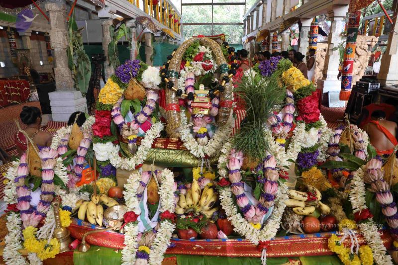 File:20180414 Photo 2366 12Ipi2OvIe4Vda4ZaVzkWEsP8ac-o-csY.JPG