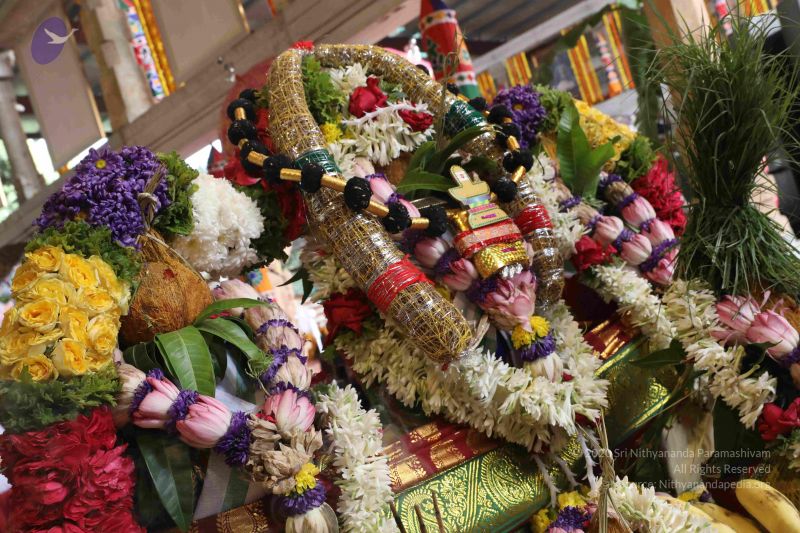 File:20180414 Photo 2375 1nxEGdbXQpPXef6GNWb4G1Cy-yKvsJxnv.JPG