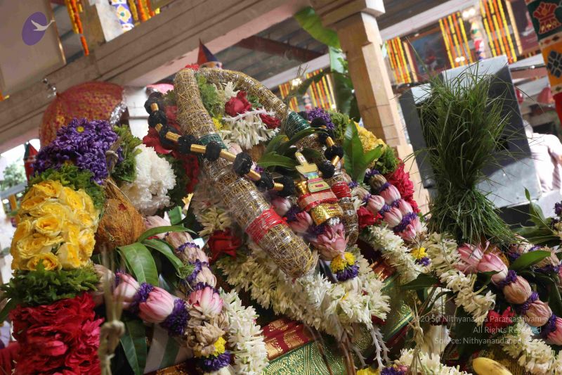 File:20180414 Photo 2376 1HiJiYgtja0yEHGvftpDgZq7SGeCfyxss.JPG