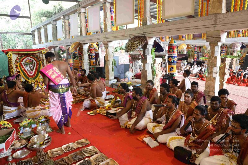 File:20180414 Photo 2382 1meyLs8rjy3o3crkBFGAvmS4God3lFPjp.JPG