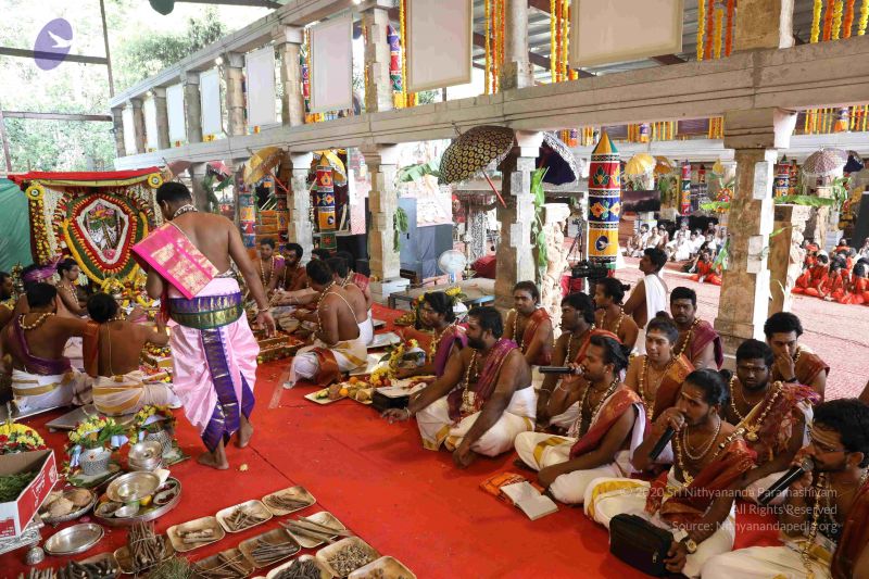 File:20180414 Photo 2383 19e33kvJ420-X5Bh4HphyJKgJcw9Ssgbf.JPG