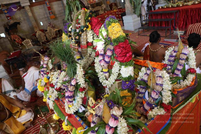 File:20180414 Photo 2395 1yyru wNdC3KHd5tL5bgbP7xJko20Robi.JPG