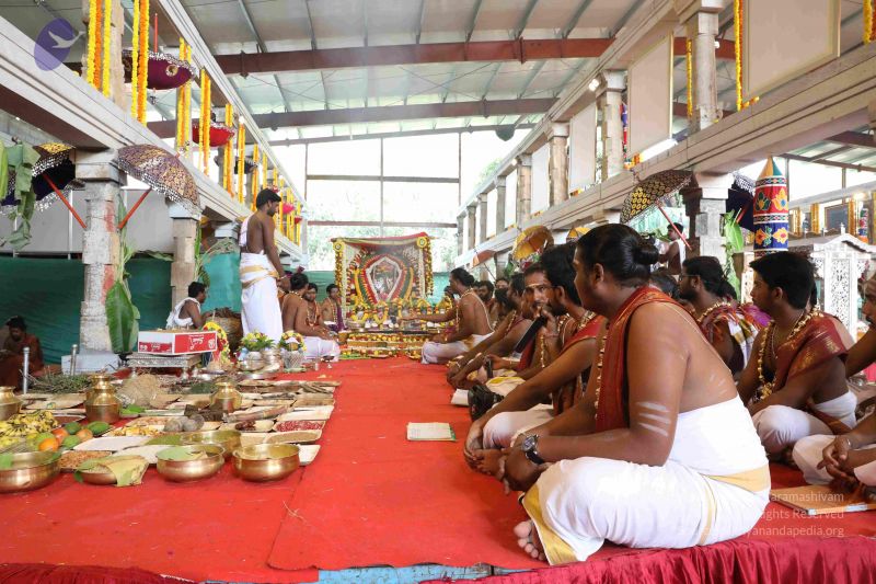 File:20180414 Photo 2397 1mn6oXpOYMM0whVb8ZNy7Wl3HIsLgTxLB.JPG