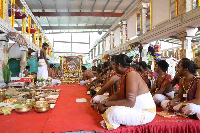 File:20180414 Photo 2399 1ZXmxpTylzlaEa9-F 9zPikOCAAWACpwQ.JPG