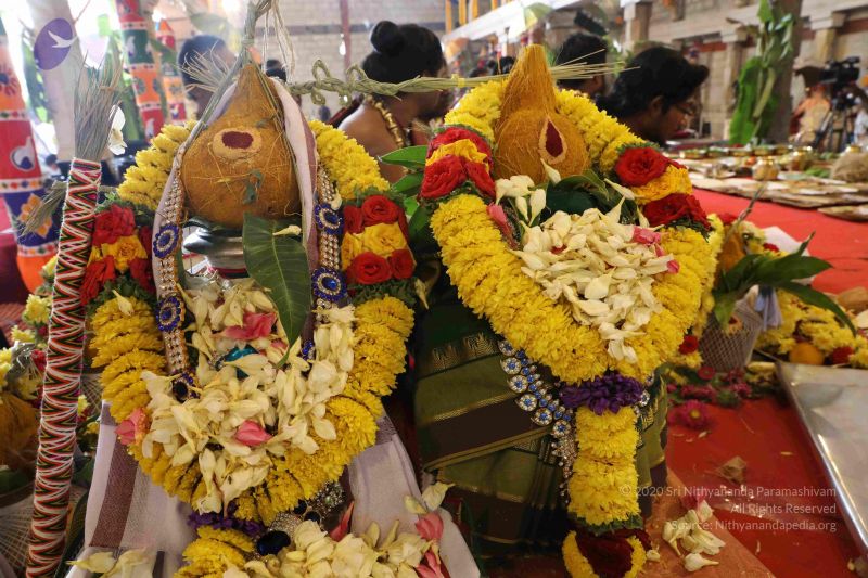 File:20180414 Photo 2404 1POsLlkMD9blJpXiugPmobMaLyhbNyiHH.JPG