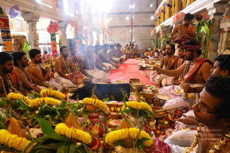 File:20180414 Photo 2452 1THI-h4BqdPGBpmG97wupmuHxTEgITDy6.JPG